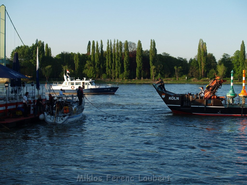 Motor Segelboot mit Motorschaden trieb gegen Alte Liebe bei Koeln Rodenkirchen P142.JPG